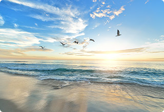 SG·亚洲胜游(中国区)官方网站